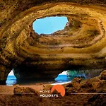 #203 Cozy Authentic *